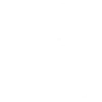 foot